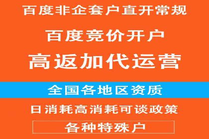百度竞价排名案例：如何打造爆款广告并提升品牌形象